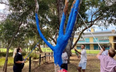 Student Council Support The Blue Tree Project