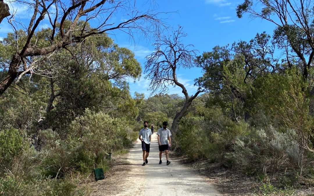 Year 11 Biology Students Visit Bold Park