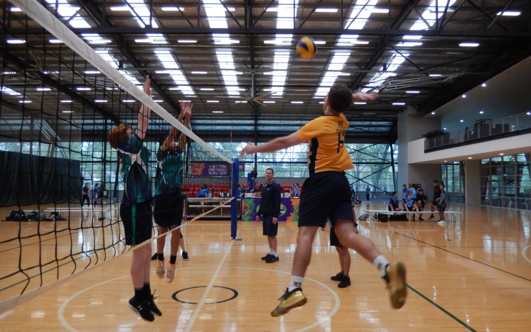 Students Represent CVC at State Volleyball Tournaments