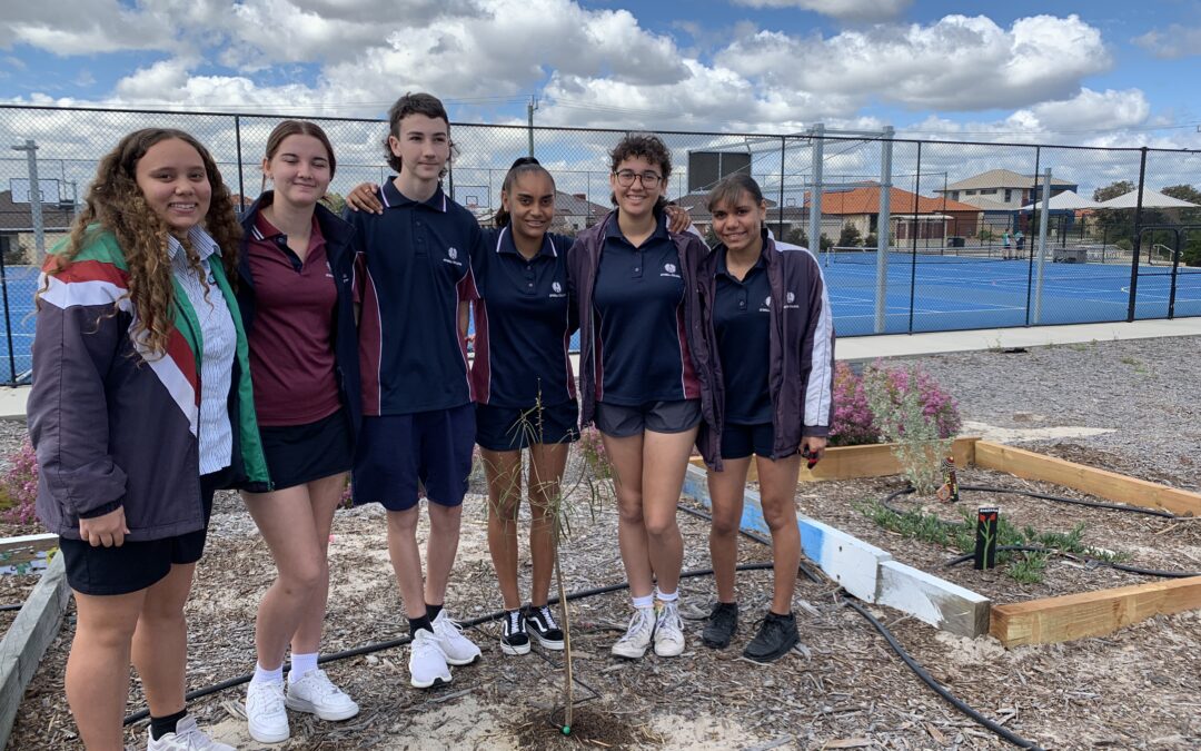 Aboriginal School Based Traineeship Students Create Edible Garden