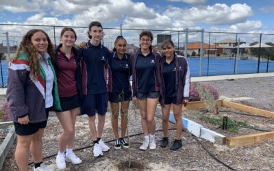Aboriginal School Based Traineeship Students Create Edible Garden