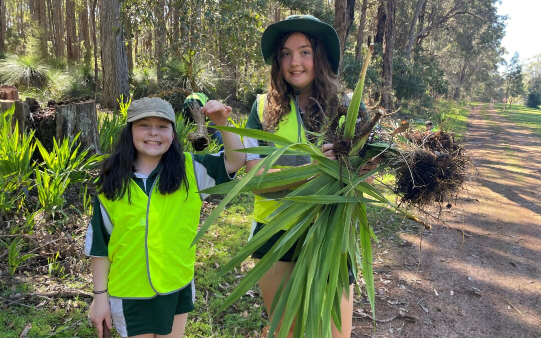 Dare Adventure Cadet Camp Dwellingup