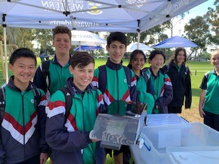 Year 8 Science Compete in UWA Solar Car Challenge