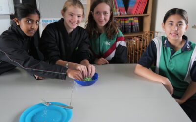 CVC Celebrates Languages Week 2025