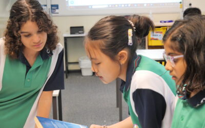 Literary Club — Where Stories Come Alive!