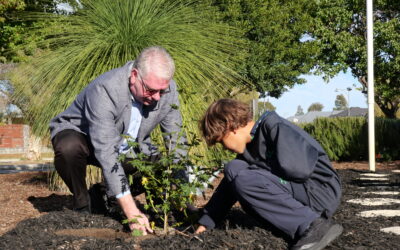 National Sorry Day Planting Ceremony